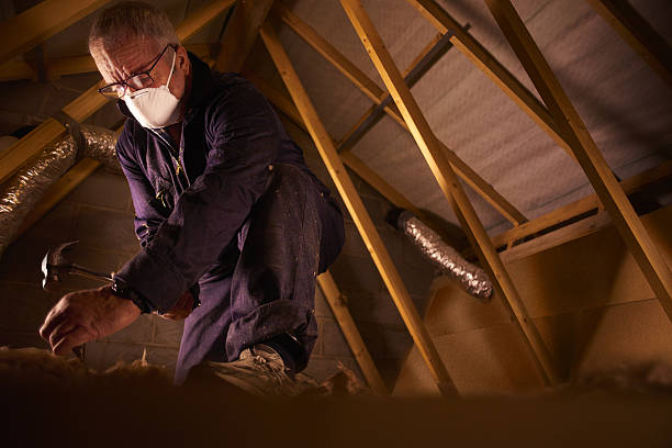 Best Fiberglass Insulation  in Greenfield, IL